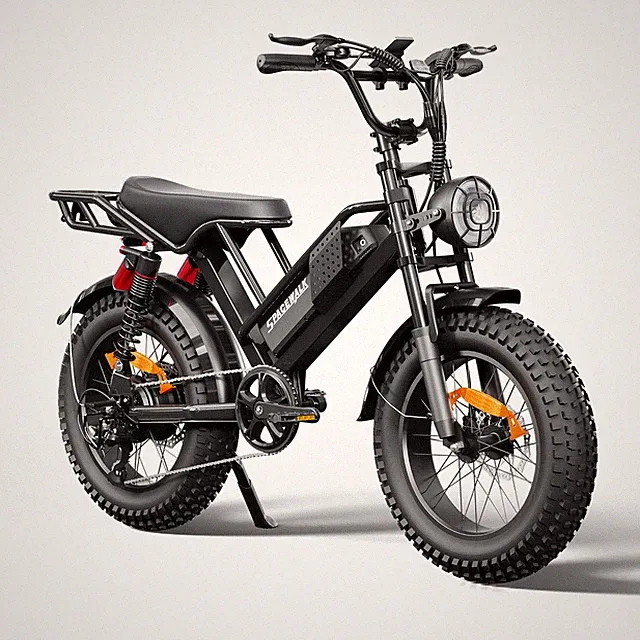 Eilleo SpaceWalk M7 21“ Electric Bike ‎for Adults 48V 15Ah Removable Battery