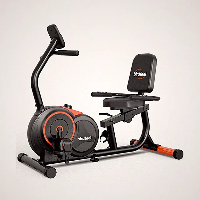Recumbent Exercise Bike for Home,Recumbent Stationary Bikes for Adults & Seni...